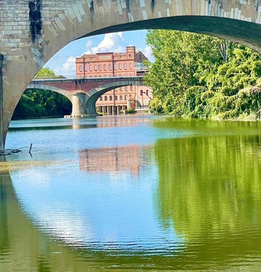 Moulin D'albias Aux Portes De Montauban 4* Albias